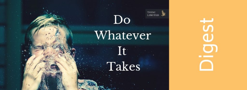 Do Whatever it Takes, Toisc Limited, Success
